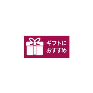 Flying Saucer（フライングソーサー） オリジナル 両手鍋 24cm IH