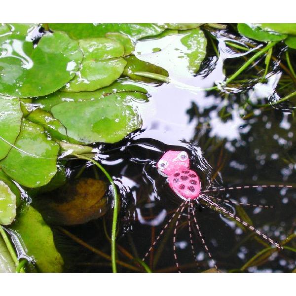 フォーム・かえるフライ（完成品フライ） : フライマート - 通販