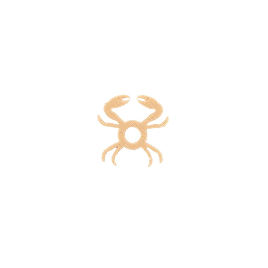 Mini crab bodies ミニクラブボディ　カニフライ |  | 06