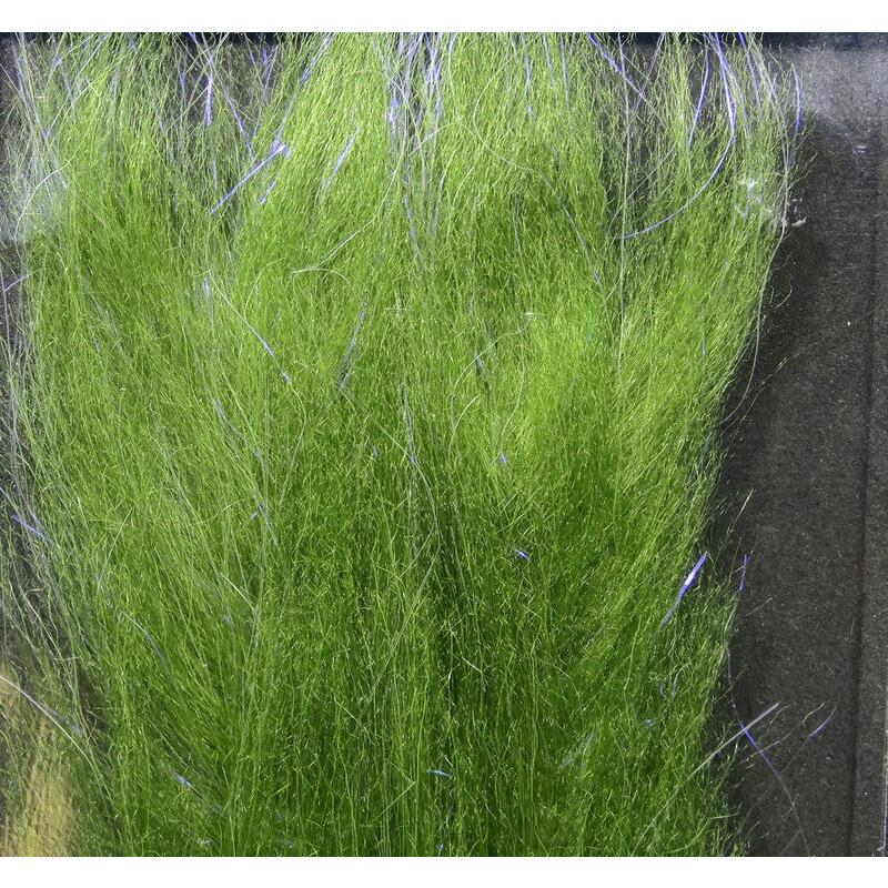 Polar Fiber Brushポーラーファイバーブラシ |  | 07