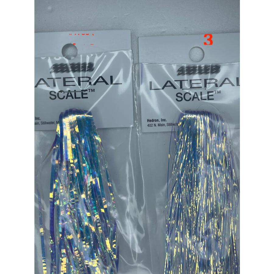 Hedron ラテラルスケール　オパールミラージュ |  | 01