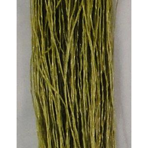 FTD ミディアムバグレッグ |  | 05