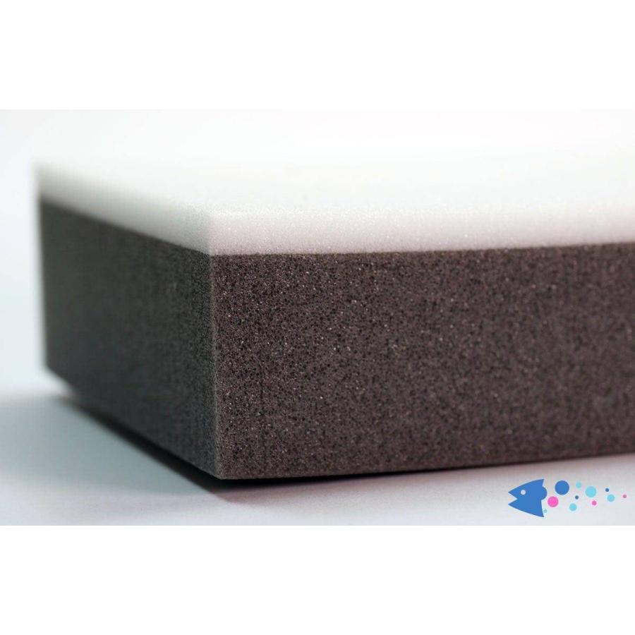 Upavon Bionic HD FoamBlock アップエイボン HD フォームブロック |  | 02