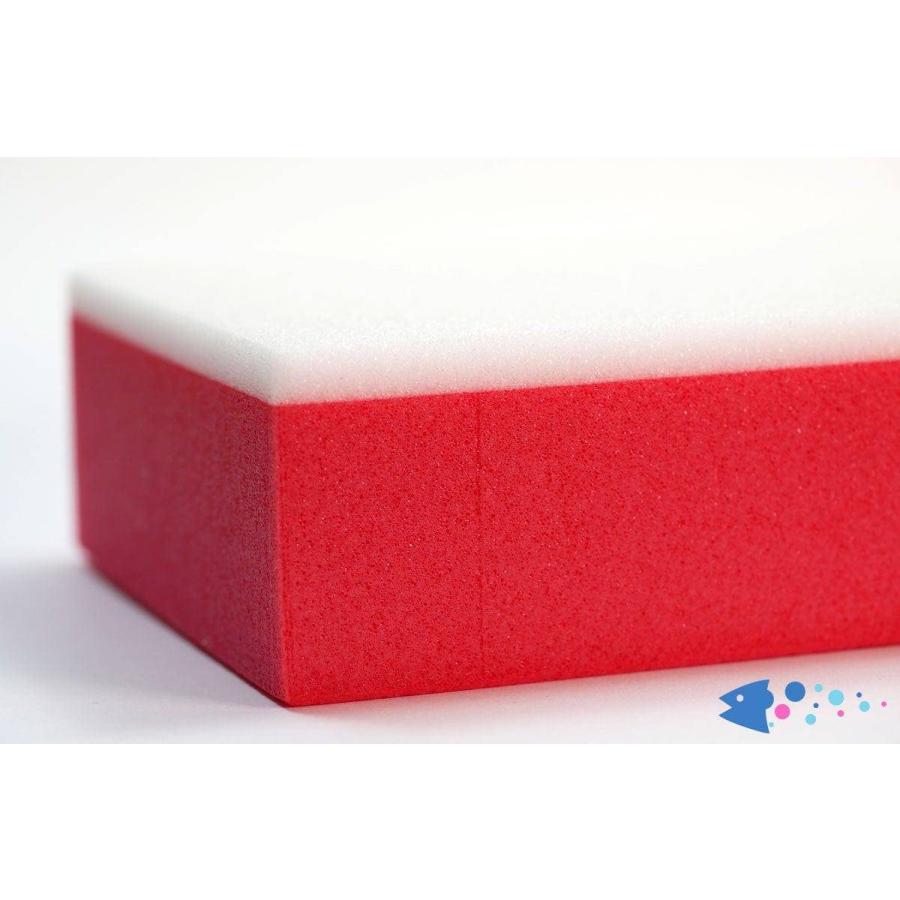 Upavon Bionic HD FoamBlock アップエイボン HD フォームブロック |  | 04