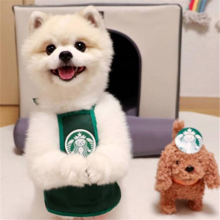 猫服 犬服 スターバックス スタバ エプロン ドッグウェア 韓国ペット服 コスプレ クリスマス ペット用品 散歩 お洒落 犬の服 ｓ ｌ 冬服 秋 春 ペット 犬猫兼用 Dog04 アル専門店 通販 Yahoo ショッピング