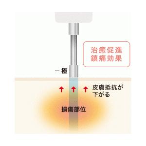 イトー IM-2000の画像