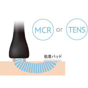 フィジオ ラジオスティムプロ P-RF-PRO 本体 酒井医療 : フジ フィジオ ラジオスティムプロ P-RF-PRO 本体 酒井医療 : フジ