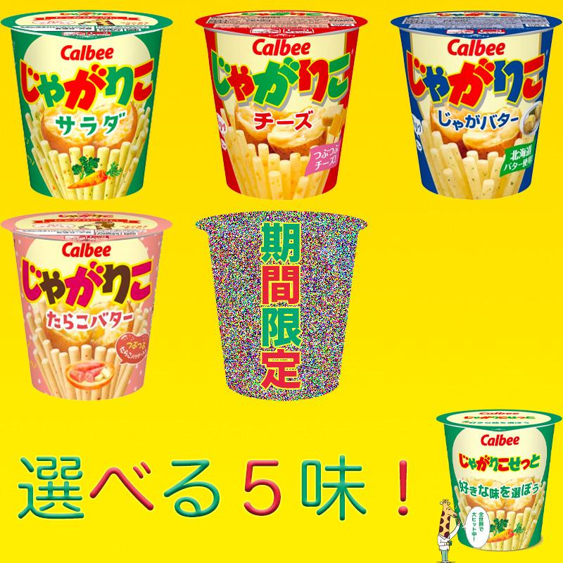 じゃがりこ マイチョイス 選べるじゃがりこセット 16個 送料無料 子供