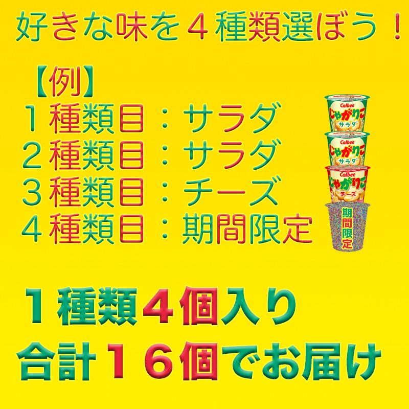 じゃがりこ マイチョイス 選べるじゃがりこセット 16個 送料無料 子供