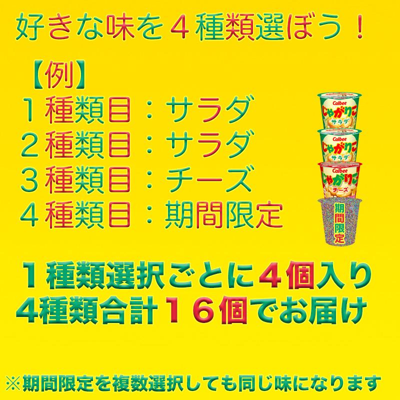 じゃがりこ 選べるじゃがりこセット 16個 送料無料 子供会 催事