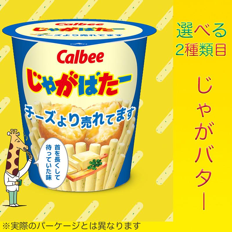 じゃがりこ マイチョイス 選べるじゃがりこセット 16個 送料無料 子供