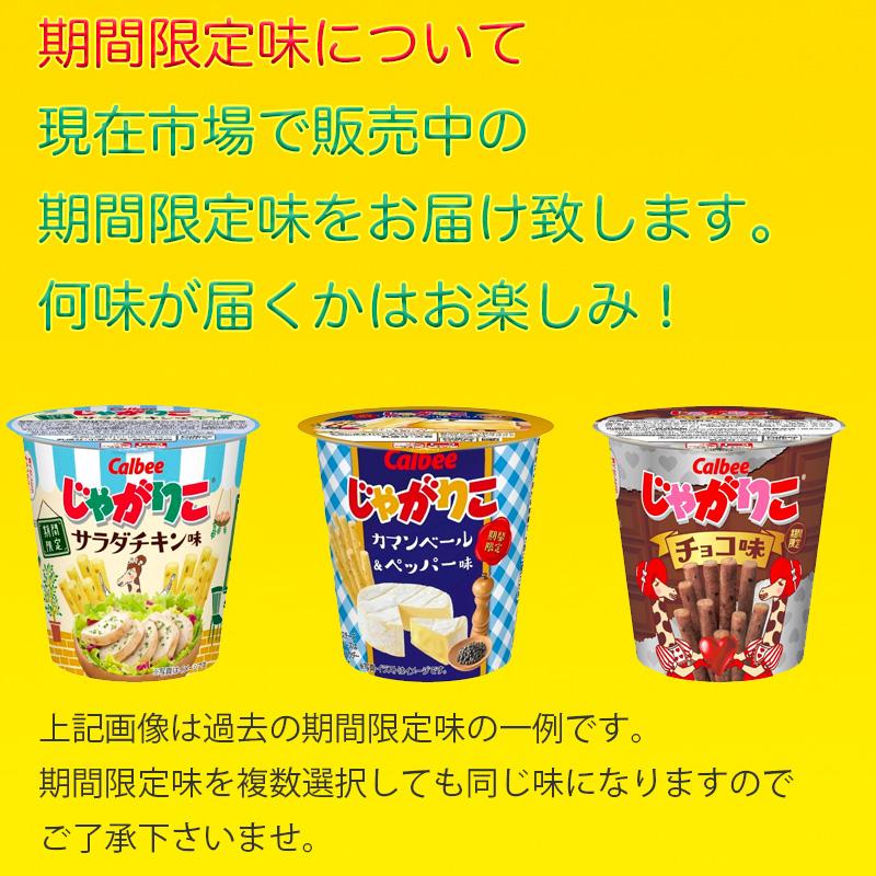 じゃがりこ 選べるじゃがりこセット 16個 送料無料 子供会 催事