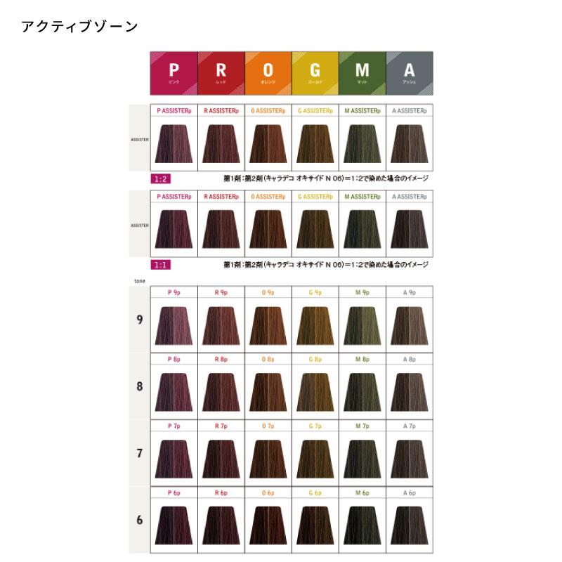 caradeco ナカノ キャラデコ パヴェ【アッシュブラウン】アルカリ