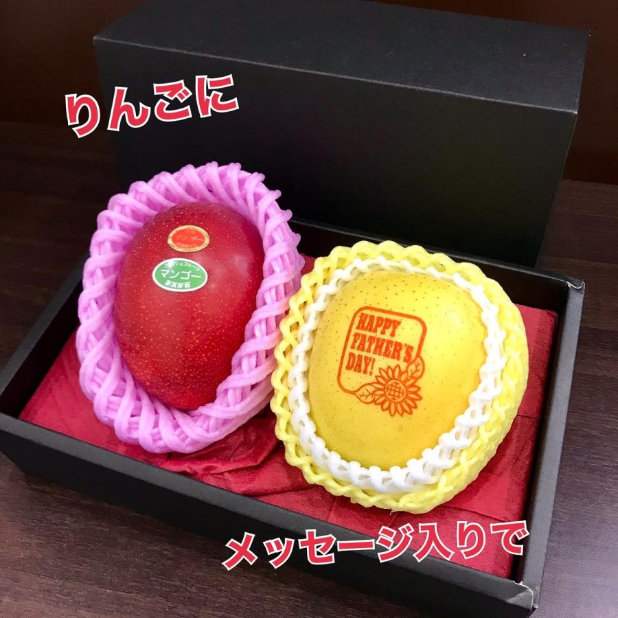 りんご　同梱 りんご アーカイブ | 株式会社堀江本店｜株式会社ホリックス