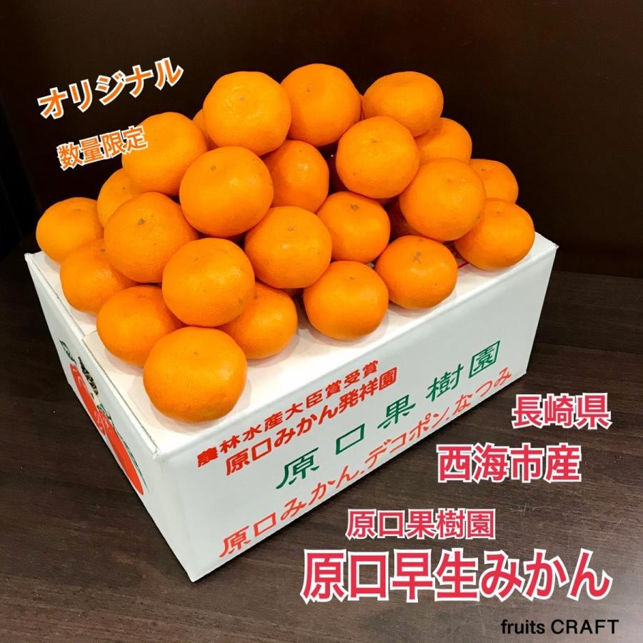 原口早生みかん 原口果樹園みかん 長崎県産 原口みかん 西海みかん