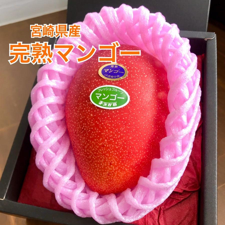 完熟マンゴー 宮崎マンゴー 宮崎県産 350g前後 1玉化粧箱入り クール