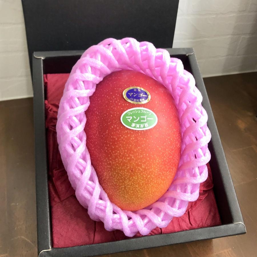 完熟マンゴー 宮崎マンゴー 宮崎県産 350g前後 1玉化粧箱入り クール