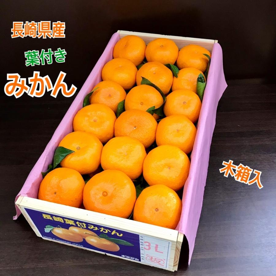 葉付きみかん 長崎県産 木箱入り 西海みかん ご当地もの ご家庭用は 