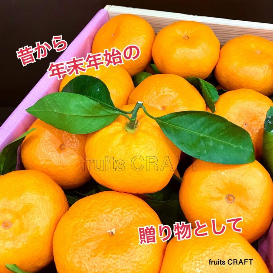 葉付きみかん 長崎県産 木箱入り 西海みかん ご当地もの ご家庭用は 