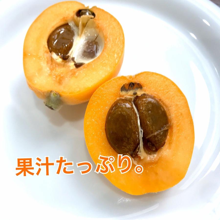 なつたより 産地直送 長崎県産 長崎びわ 茂木びわに代わる新しいびわ お取り寄せ Natutayori 02 Fruits Craft ヤフー店 通販 Yahoo ショッピング