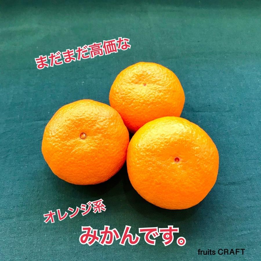 津之輝 津の輝 つのかがやき 長崎県産 数量限定 西海みかん ご家庭用は