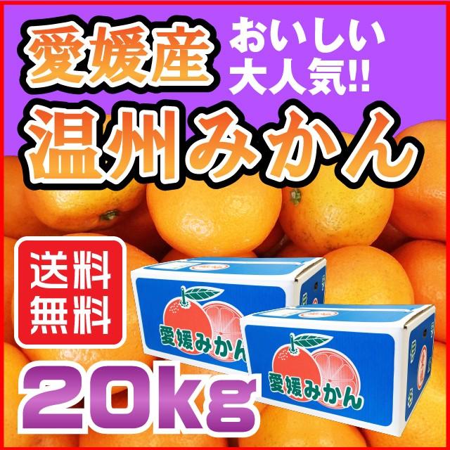 温州 みかん 20kg 愛媛県産 規格外 訳あり 安い 自宅用　(M2)｜fmarushe535