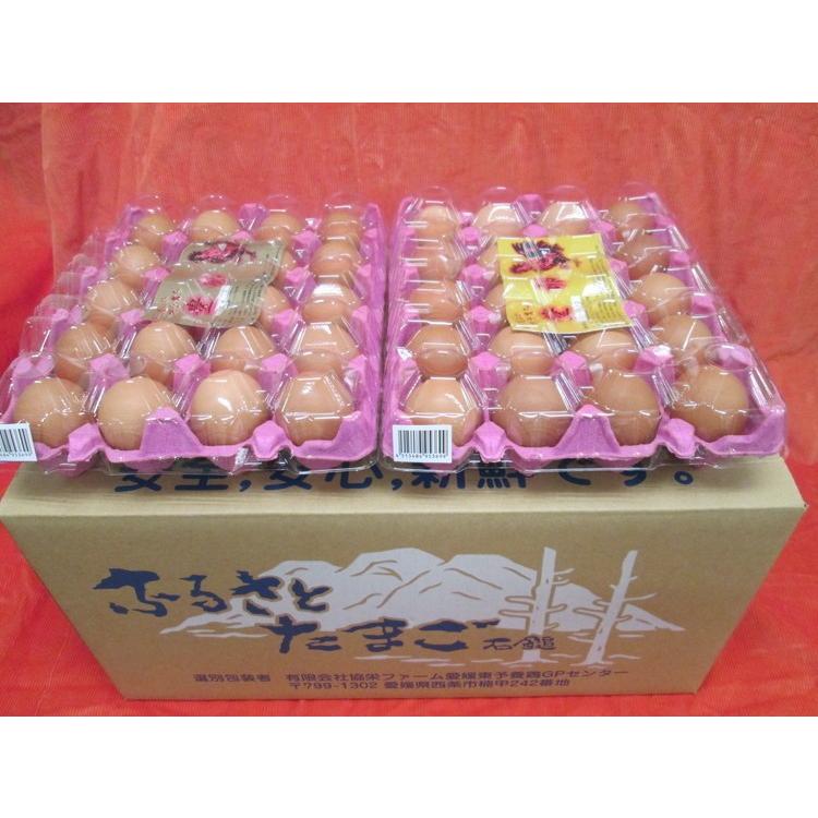 エフマルシェ豊卵 トヨラン Lサイズ Stk 445 0016 愛媛地産市場 エフ マルシェ 通販 Yahoo ショッピング