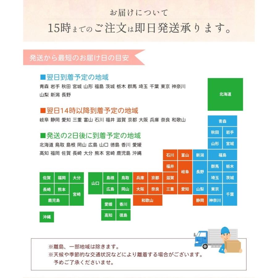 お供え 花 四十九日 かご 束 アレンジメント 種類 贈り物  花束 御供え 花 お悔やみ ユリ 仏花 仏事 命日 ご法事 枕花 生花 一周忌 法要  即日出荷｜fmfloral｜11