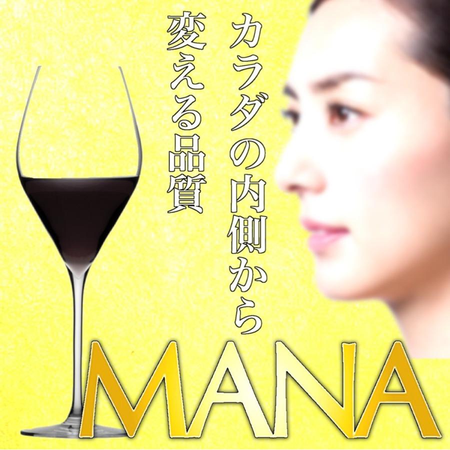 マナ酵素 酵素ドリンク ダイエット MANA 500ml×2本 3日ファスティング