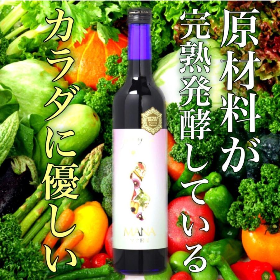 マナ酵素 酵素ドリンク ダイエット MANA 500ml×2本 3日ファスティング
