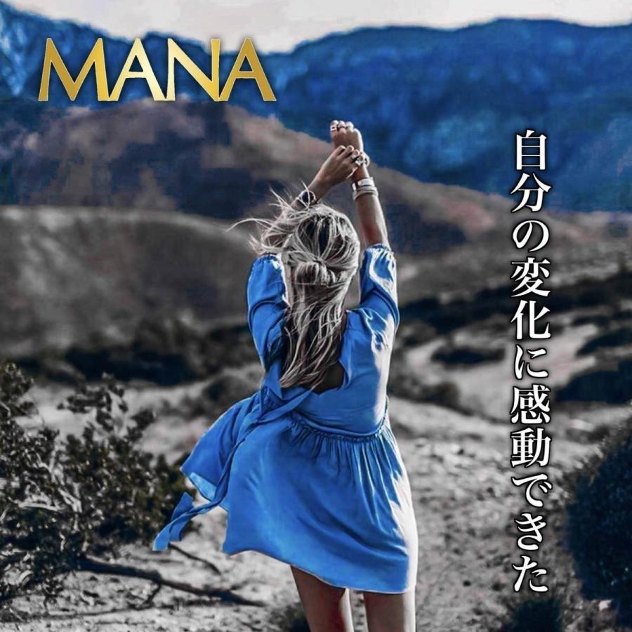 マナ酵素 酵素ドリンク 3日 ファスティング ブラックフライデー MANA