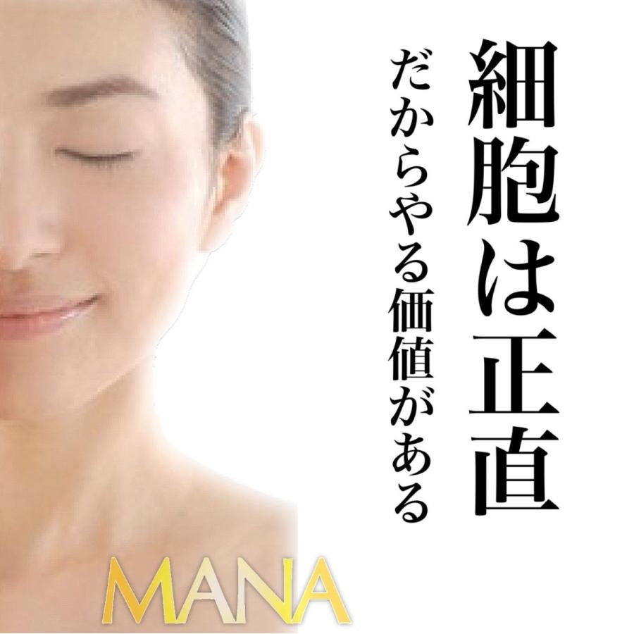 マナ酵素 マナ酵素