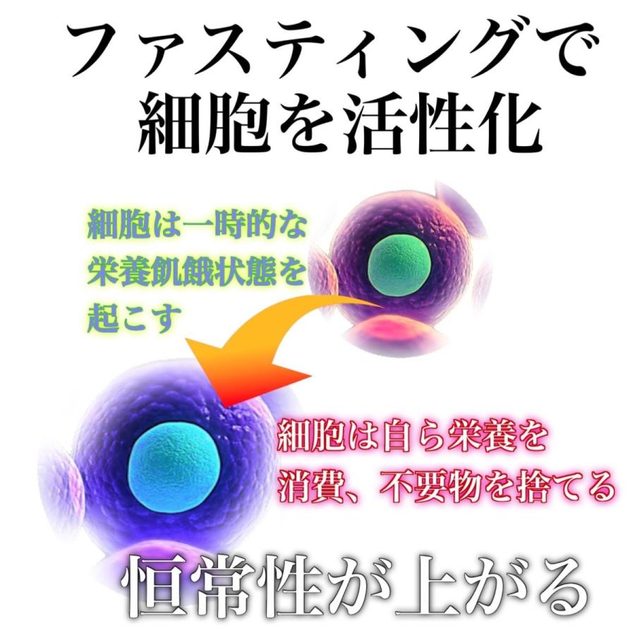 マナ酵素 酵素ドリンク 7日 500ml×5本 プレミアムフライデー