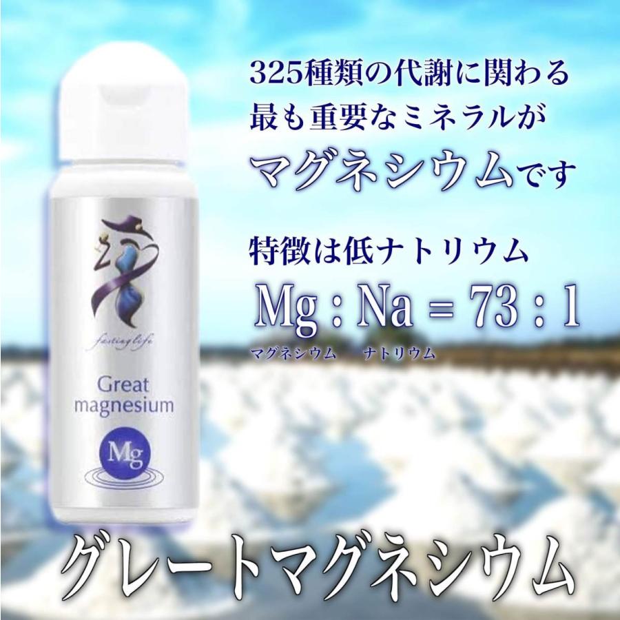 グレートマグネシウム 超高濃度 マグネシウム 50ml×3本 ミネラル