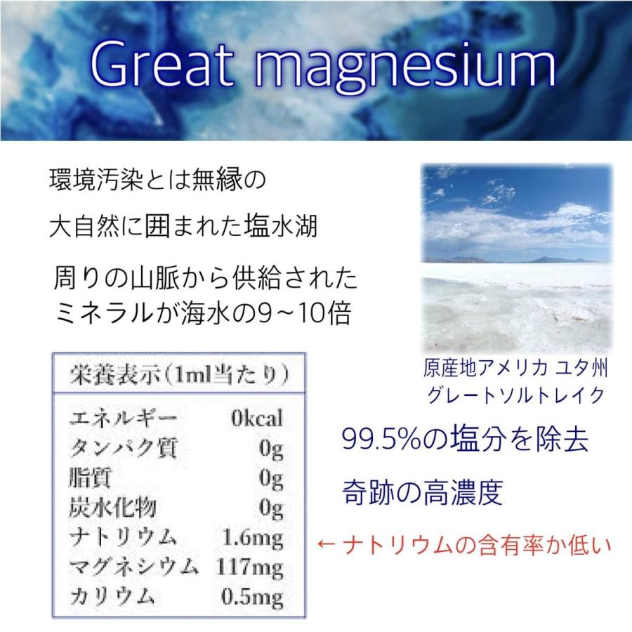 グレートマグネシウム 超高濃度 マグネシウム 50ml×3本 ミネラル