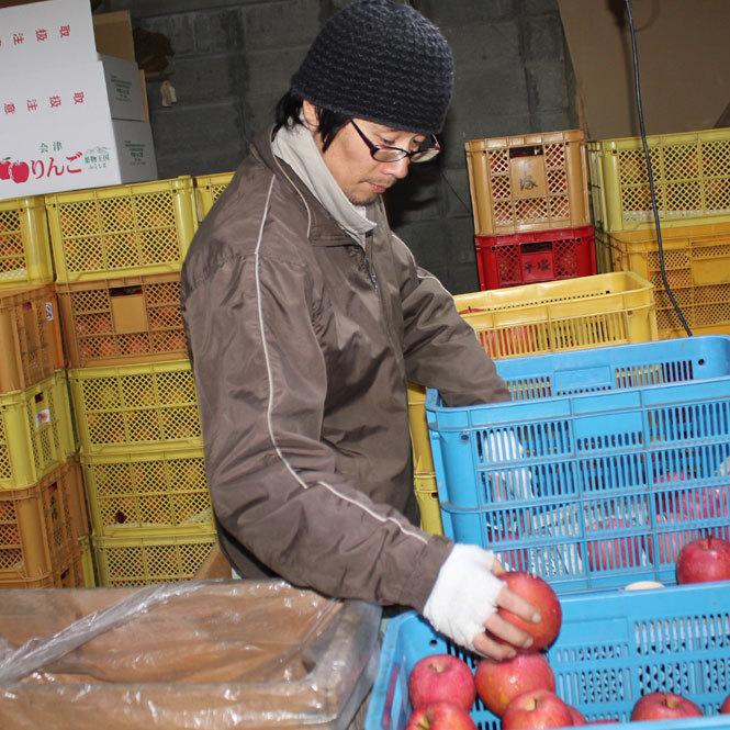 平塚りんご園 お得な10kg箱詰めサンふじ（ご自宅用） : FMきたかた