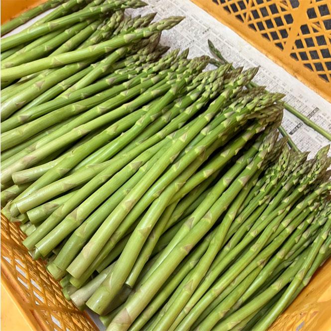 アスパラ3年物　100cm×80m 清田区 期間限定・50セット】夏アスパラ 2Lサイズ900g／2025年7月末発送予定
