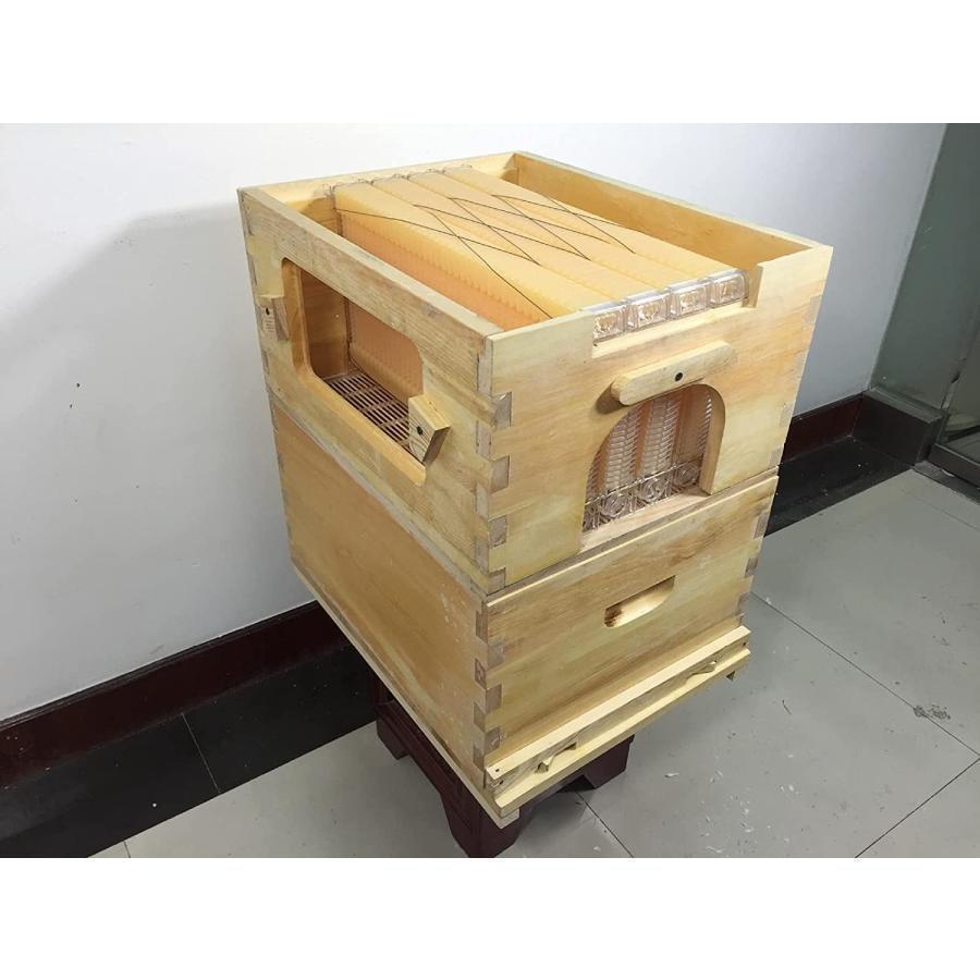 巣箱蜜蜂巣箱4個フローハイブ蜂巣巣脾巣礎巣枠ミツバチ巣自流 巣箱蜜蜂巣箱4個フローハイブ蜂巣巣脾巣礎巣枠ミツバチ巣自流