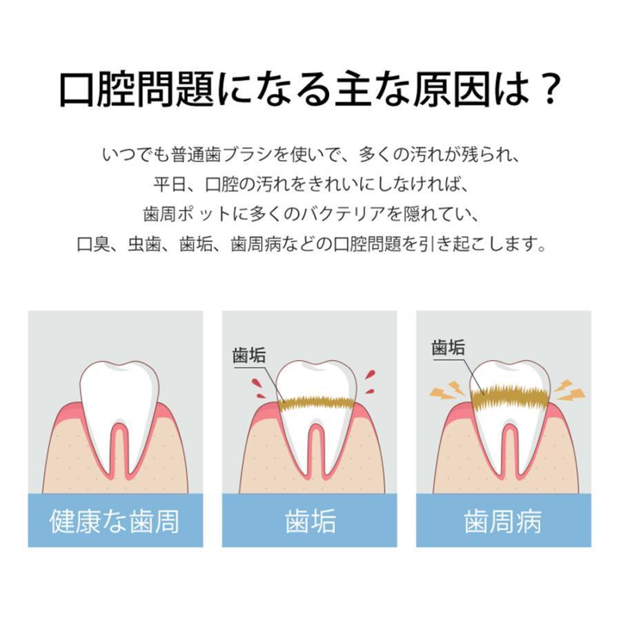 口腔洗浄器 ジェットウォッシャー 歯垢除去 電動 口内洗浄機 大容量800ml 高圧の水噴射 口臭改善 防水機能 水圧10段階 家庭 旅行の画像