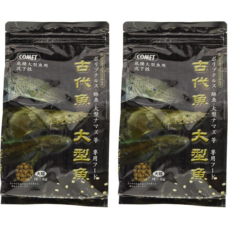 史上最も激安 観賞魚生体 コメット2個セット沈下性大粒の餌 バナナポリフェノール配合で健康維持 古代魚 大型魚フード1キログラム Www Threeriversofs Com