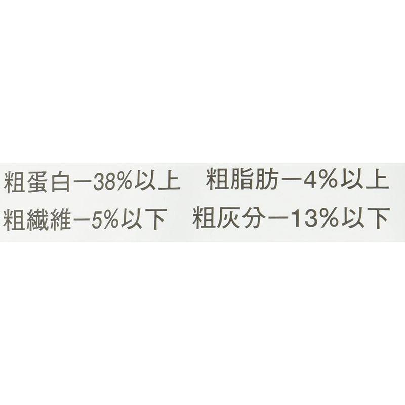500円引きクーポン 観賞魚生体 ミシロ 彩金魚 胚芽育成用 細粒 沈下性 1キログラム X 1 Www Threeriversofs Com