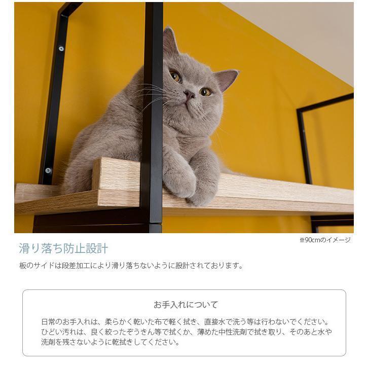 猫用 猫 キャットステップ キャットウォーク 壁付け キャットステップ MYZOO マイズー AVENUE 60cm キャットステップ 猫用 キャットウォーク 壁付け 間柱