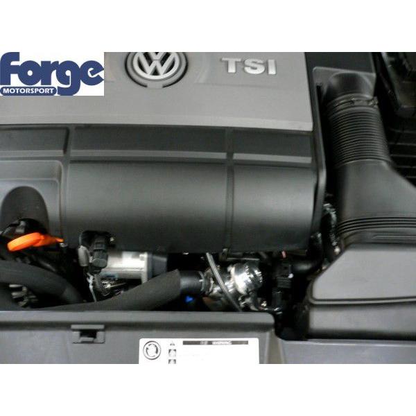 Forge Motorsport Replacement Valve 2.0TFSI (強化ディ Forge Motorsport Replacement Valve 2.0TFSI (強化ディ