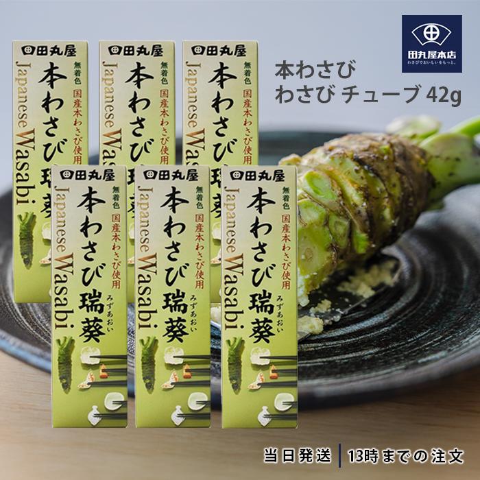 田丸屋本店 静岡本わさび 瑞葵 42g チューブ わさび 調味料 6個