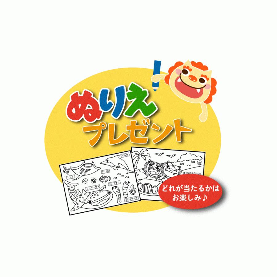 期間限定お試し価格 子ども用食器 お箸 子供 沖縄子ども用お箸 ビーチ 沖縄雑貨 シーサー かわいい Discoversvg Com