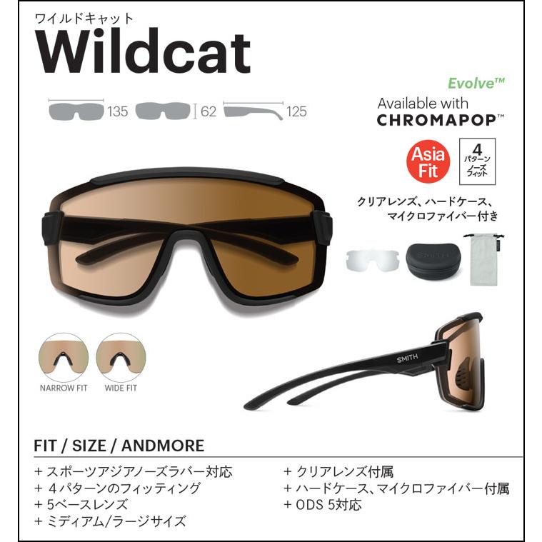 SMITH(ヘルメット、サングラス) SMITH スミス サングラス SMITH(ヘルメット、サングラス) SMITH スミス サングラス
