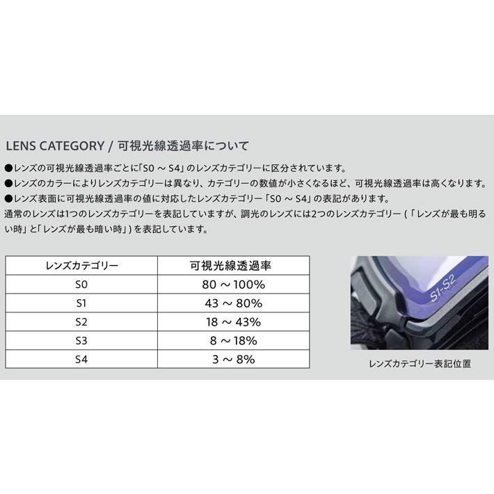 DICE（ダイス） 予約商品 26-27 DICE GOGGLES ゴーグル SHOWDOWN