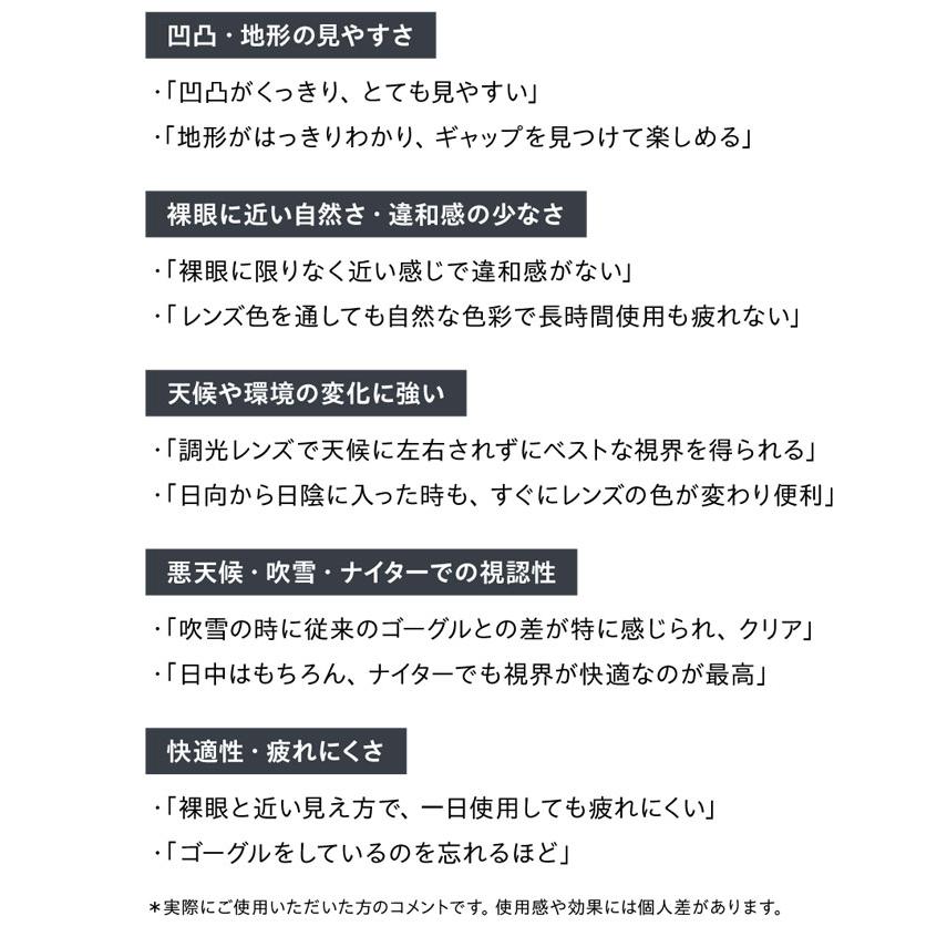 DICE（ダイス） 予約商品 26-27 DICE GOGGLES ゴーグル SHOWDOWN
