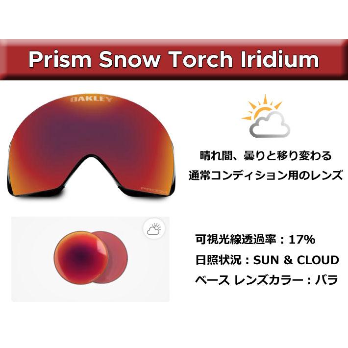 OAKLEY（オークリー） 25-26 ゴーグル FLOW SCAPE L GOGGLE oo7145A-17