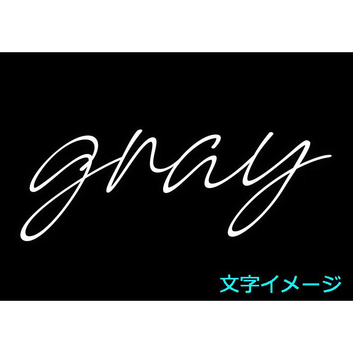 GRAY SNOWBOARD グレイ スノーボード カッティングステッカー SCRIPT